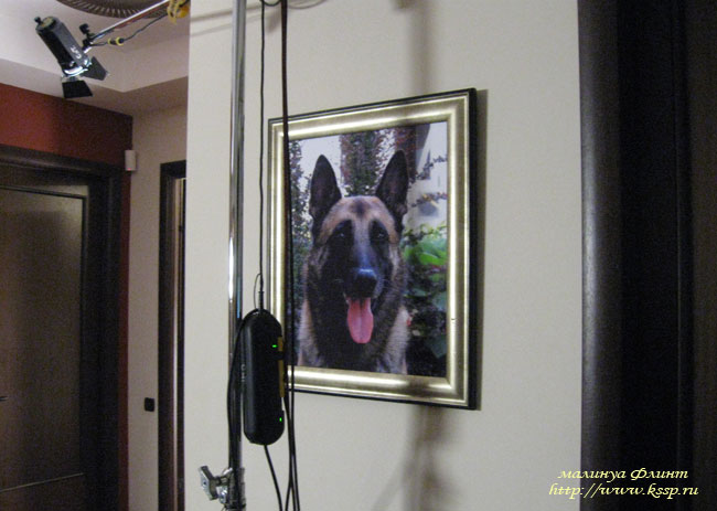 20090208Flint11