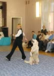 IMG_8674