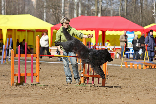 45agility03