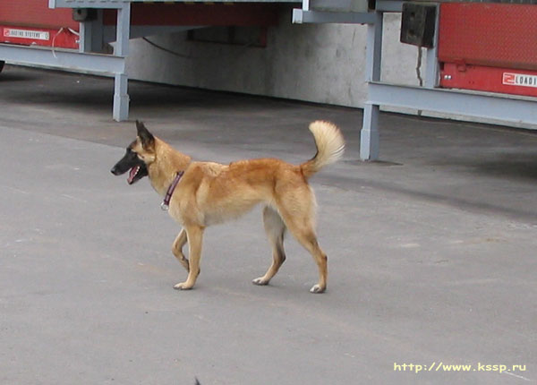 20070619Lisa04