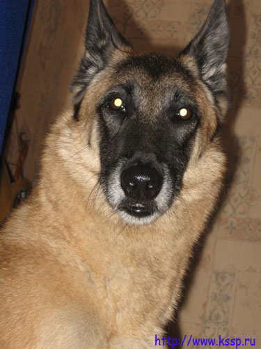 otpusk090843