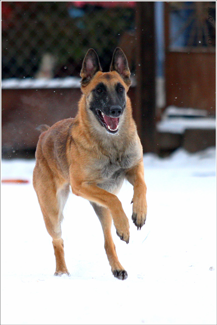090107Shteffi04