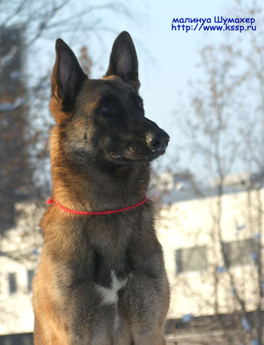 080120Neo_01